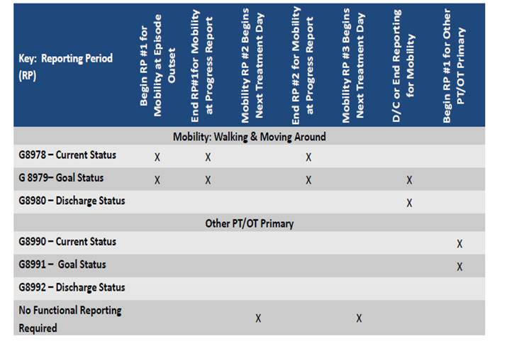 Functional therapy reporting