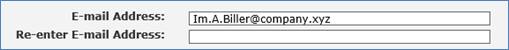 Image of Account Information sub-tab showing the middle of the My Account page and email address section.