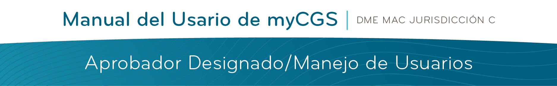 Aprobador Designado/Manejo de Usuarios